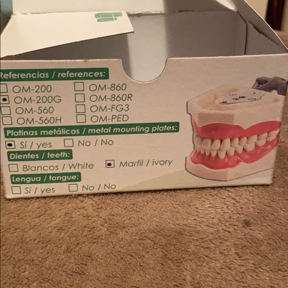 Dental model